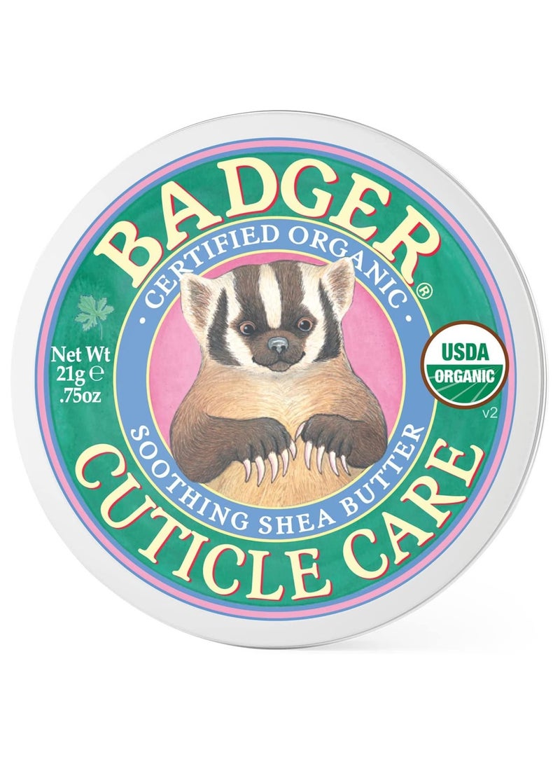 بادجير زبدة شيا عضوية للعناية بالبشرة وتلطيفها - Image 1