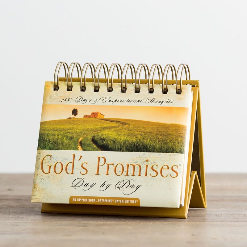 Dayspring God's Promises Day by Day: 365 Days of Inspirational Thoughts - An Inspirational DaySpring DayBrightener - Perpetual Calendar - Image 5