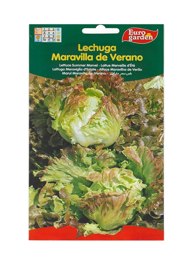 Euro Garden خس يورو جاردن  - Image 1