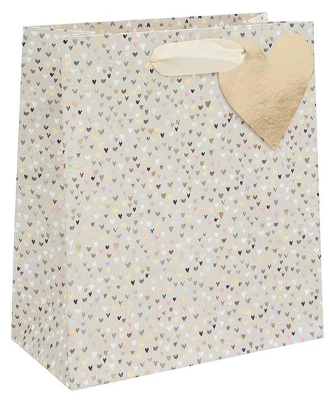 Share The Love Large Gift Bag - Hearts Collection