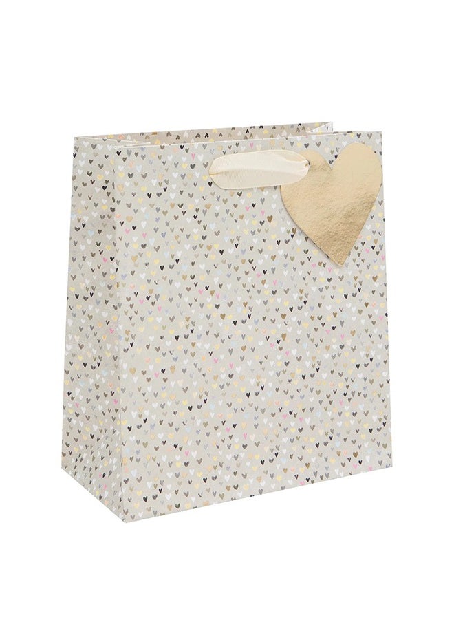 Share the Love Large Gift Bag - Hearts Collection 