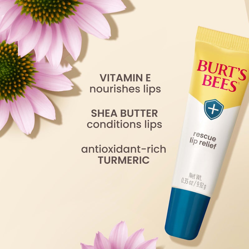 Burt's Bees Lip Balm Stocking Stuffers, Moisturizing Lip Care Christmas Gifts, Rescue Relief - Relieves Extremely Dry Lips with Moisturizing Shea Butter & Echinacea, Natural Origin Treatment (3-Pack) - Image 5