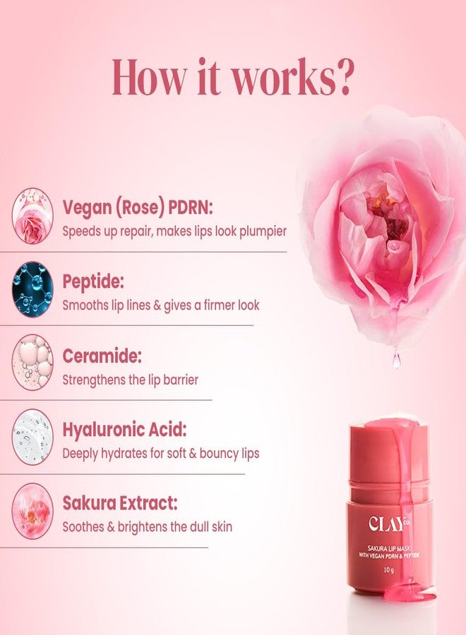 ClayCo Sakura Lip Mask with PDRN & Peptide | Deep Hydration & Lip Barrier Repair | Plumping, Line-Smoothing | With Ceramide & Hyaluronic Acid | 10g - Image 5