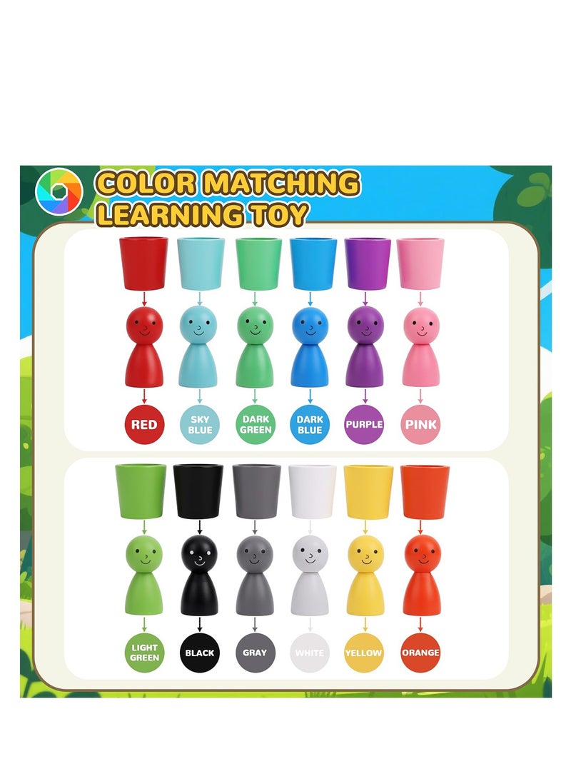 24pcs Color Sorting Cups, Wooden Color Sorting Sensory Toys, Stacking Cup Toys for Kids Ages 3-6, Preschool Learning Education Montessori Sensory Training Activity Toys  - Image 5