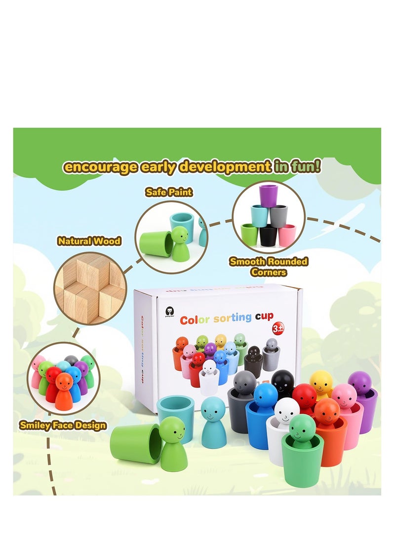 24pcs Color Sorting Cups, Wooden Color Sorting Sensory Toys, Stacking Cup Toys for Kids Ages 3-6, Preschool Learning Education Montessori Sensory Training Activity Toys  - Image 4