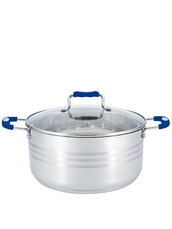 Wilson وعاء ويلسون من الفولاذ المقاوم للصدأ باللون الفضي مع مقبض سيليكون أزرق، سعة 2.5 لتر