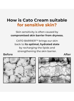 P.CALM PCALM Cato Facial Cream 80ml  - Image 5