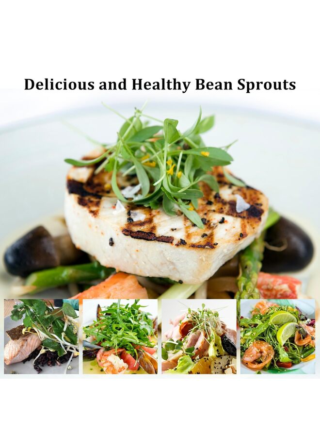 LAMAY 2 Pcs Seed Sprouting Kit - Image 5