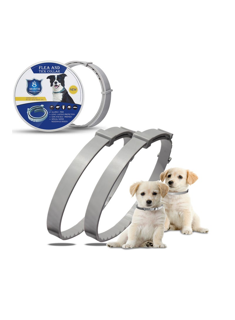 SYOSI, Flea Collar for Dogs, Flea and Tick Prevent Collar Adjustable, 4 Pack Natural Protection No Irritation for Cats, 24 Inch One Size Collars for Large Small Dogs - Image 1