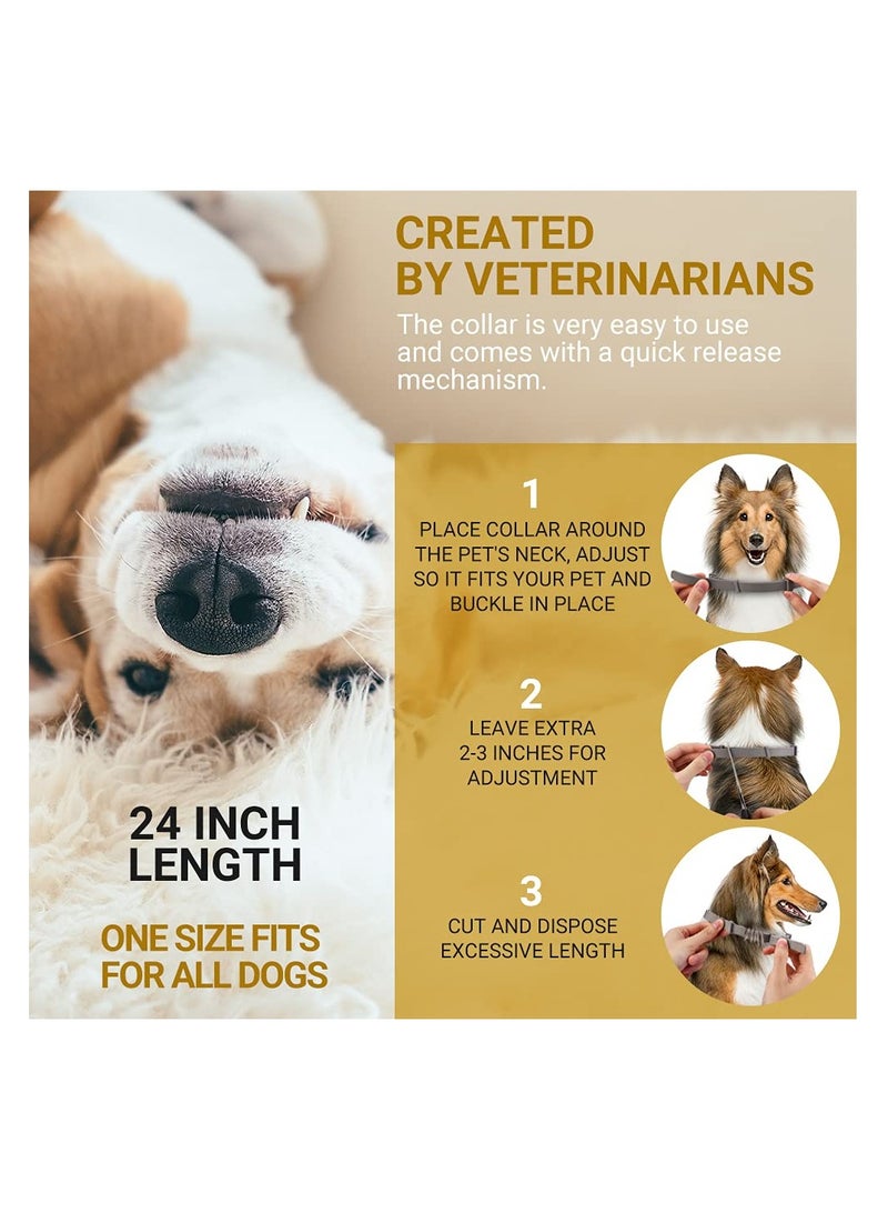 SYOSI, Flea Collar for Dogs, Flea and Tick Prevent Collar Adjustable, 4 Pack Natural Protection No Irritation for Cats, 24 Inch One Size Collars for Large Small Dogs - Image 3