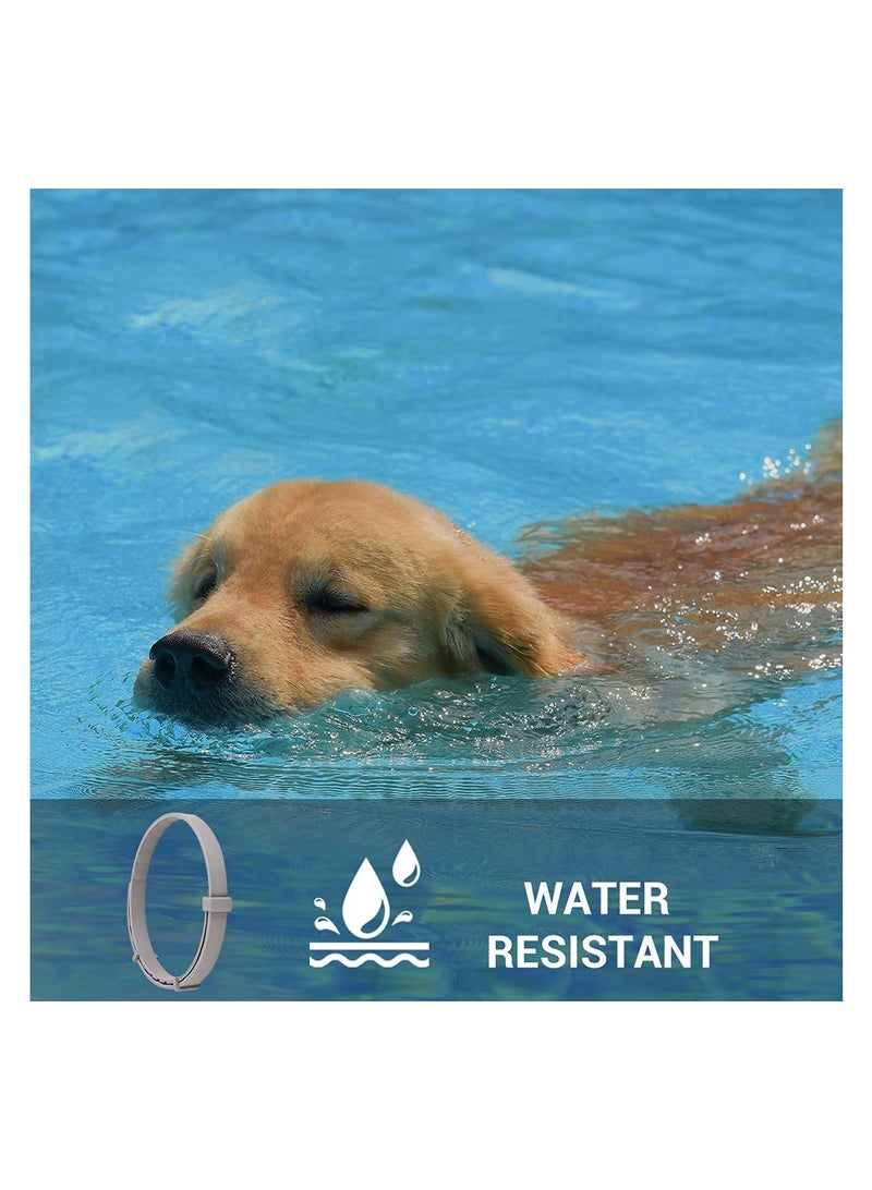 SYOSI, Flea Collar for Dogs, Flea and Tick Prevent Collar Adjustable, 4 Pack Natural Protection No Irritation for Cats, 24 Inch One Size Collars for Large Small Dogs - Image 4