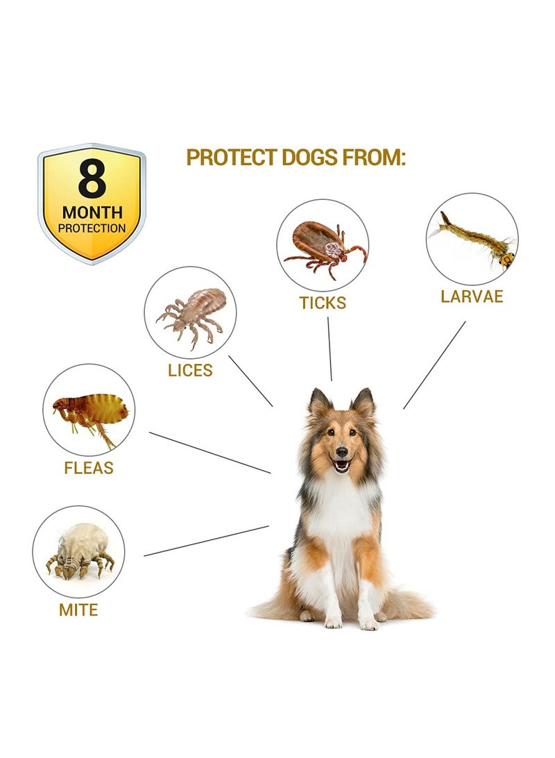 SYOSI, Flea Collar for Dogs, Flea and Tick Prevent Collar Adjustable, 4 Pack Natural Protection No Irritation for Cats, 24 Inch One Size Collars for Large Small Dogs - Image 2