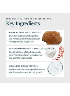 VIRTUE Virtue Flourish Sulfate Free Shampoo for Thinning Hair, Volumizing Hair Growth Product, Detoxifies and Repairs, Color Safe  - Image 3