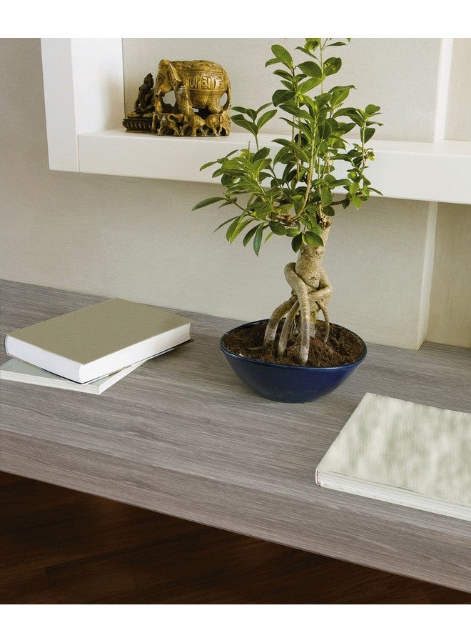 d-c-fix 34605873Pk Decorative Selfadhesive Film Oak Sheffield Pearl Grey 17 X 78 Roll 3Pack - Image 3