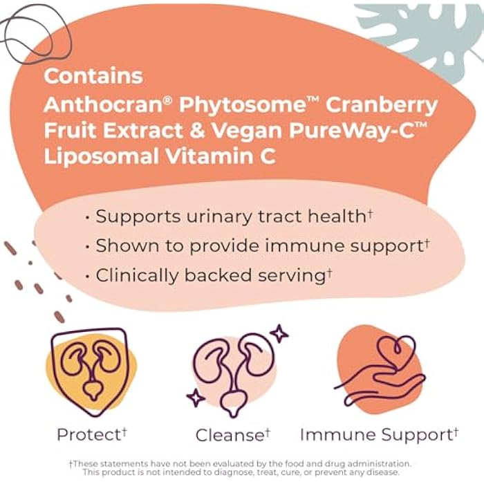 Body Kitchen Urinary Tract Shield with Anthocran Phytosome Cranberry Extract and Liposomal Vitamin C, Supports Bladder and Kidney Health, 30 Capsules - Image 3