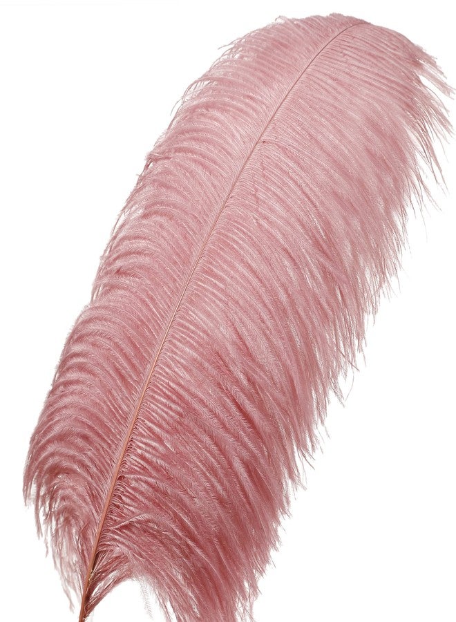 Larryhot Pink Ostrich Feathers Bulk- 16-18 inch 10pcs Feathers for Cfafts,Wedding Party Centerpieces, and Home Decorations (Lotus Pink) - Image 2
