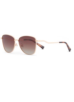 DESPADA Despada Full Rim Polarized Butterfly DS 2334 C2  - Image 2