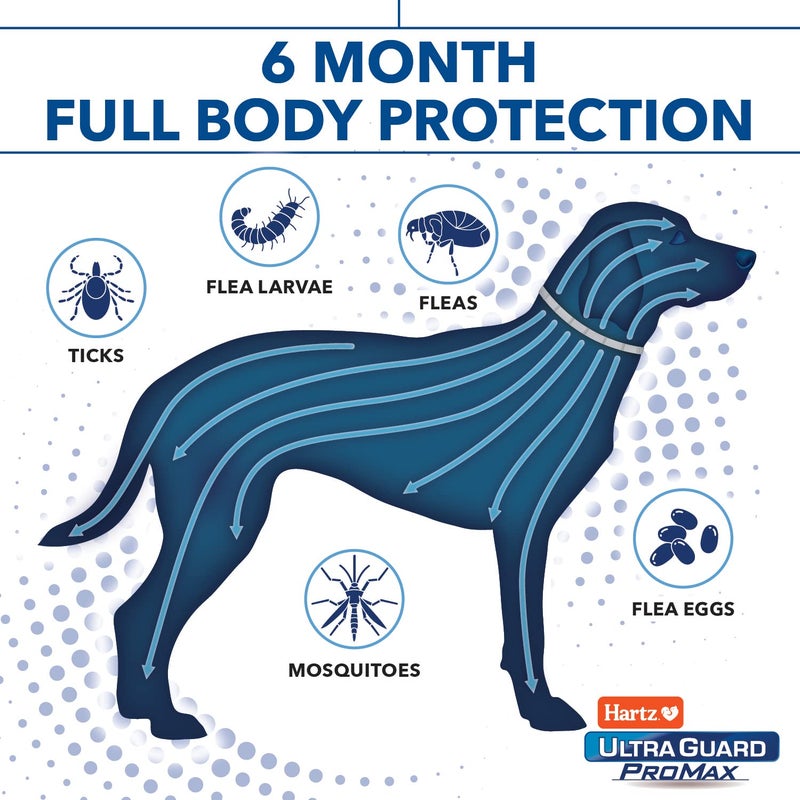 Hartz UltraGuard ProMax Flea & Tick Collar for Dogs I 12 Months Protection I Soft & Comfortable Flea & Tick Prevention I 2 Pack,Gray - Image 3