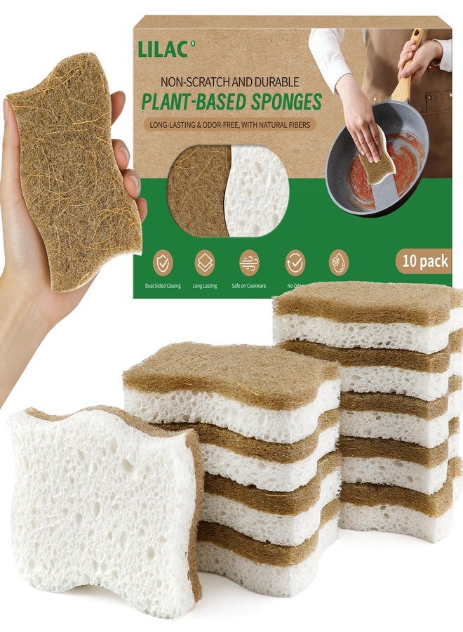 LILAC Natural Cellulose Sponges for Dishes - Ergonomic Non-Scratch Kitchen Scrub Sponges - 100% Biodegradable & Eco-Friendly Cleaning Sponges for Non-Stick Cookware, Bathroom & Household (10 Pack) - Image 1