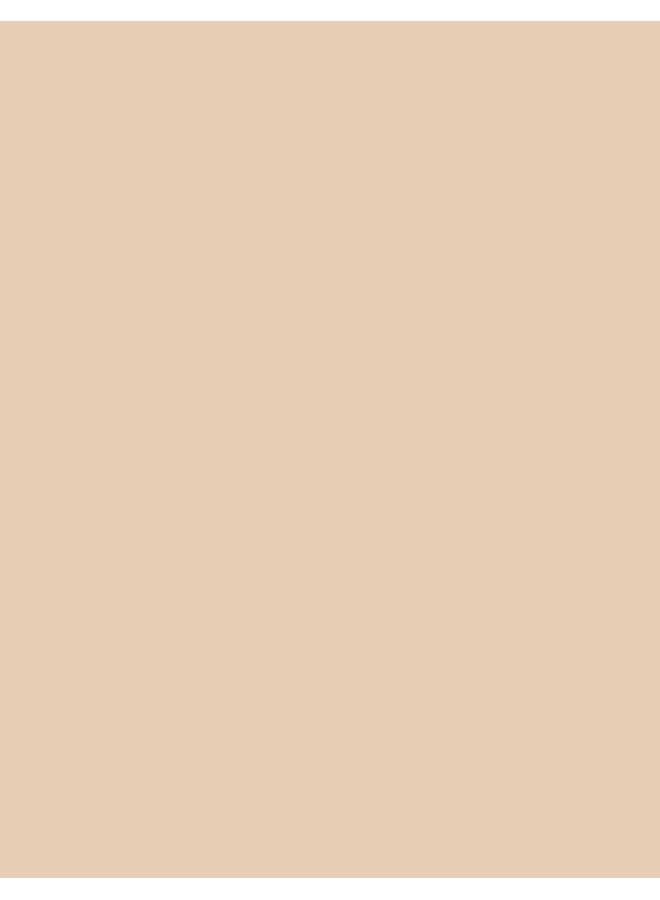 flormar NP Invisible Cover Hd Fdt - 20 Porcelain 20 Porcelain - Image 3