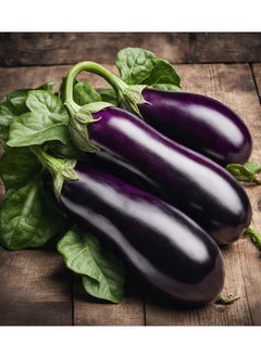 Generic Eggplant seeds Al-Fajr  - Image 2