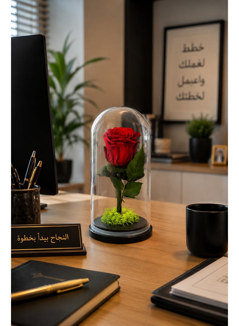 RAFAL Forever Red Rose in Glass Dome – Preserved Eternal Single Rose Lasts up to 2 Years, Premium Natural Flower, Luxury Gift for Her, Romantic Table Decor for Anniversary & Birthdays - Image 3