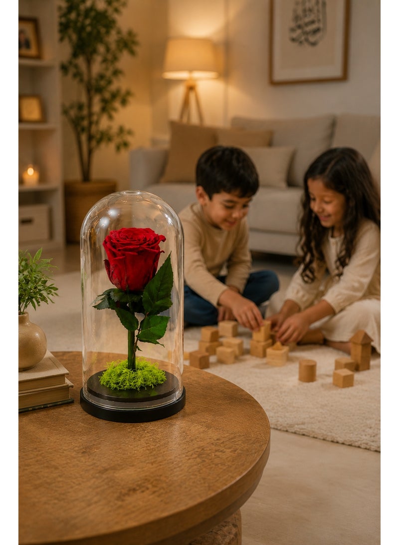 RAFAL Forever Red Rose in Glass Dome – Preserved Eternal Single Rose Lasts up to 2 Years, Premium Natural Flower, Luxury Gift for Her, Romantic Table Decor for Anniversary & Birthdays - Image 5