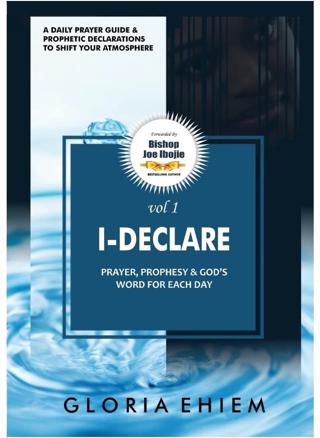 I - DECLARE  - Image 1