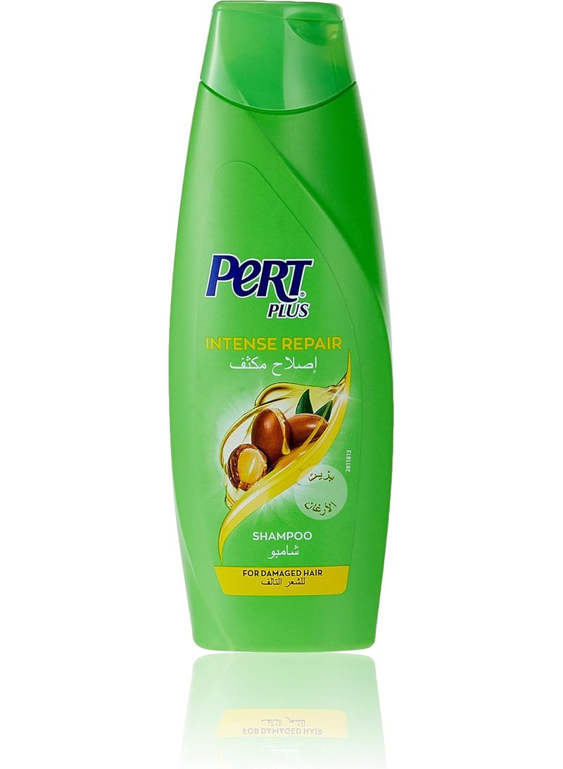 برت بلاس شامبو بخلاصة زيت التغذية المكثفة-200مل - Image 1