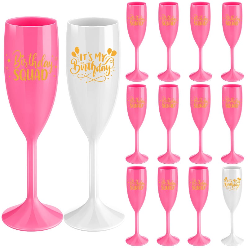 LemonRoad 10 Pcs Birthday Squad Champagne Flutes It's My Birthday Party Decorations Acrylic Toasting Glasses Reusable Unbreakable Plastic Champagne Cups for Women Bachelorette Party Supplies - Image 1