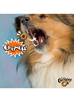 فروم حلوى الكلاب Crunchy Os Peanut Butter Jammers - حلوى الكلاب المقرمشة الفاخرة - وصفة زبدة الفول السوداني - 6 أونصة  - Image 2