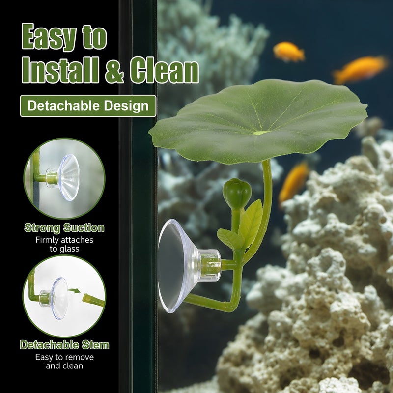 Artificial Leaf Betta Fish Resting Spot for Aquarium Decoration and Fish Accessories Ideal for Betta Fish Resting and Hiding - Image 2