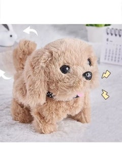 Electric Golden Dog, Educational Toys For Infants And Young Children, Puppies Can Walk, Bark And Wag Their Tails - pzsku/Z21434DF4404CC58B06D4Z/45/_/1738922597/e59ec973-6f1f-4ab8-a802-0bd2bc852345