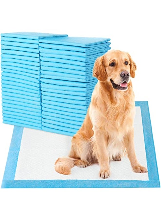 سكاي تاتش وسادات امتصاصية سريعة التجفيف يمكن التخلص منها ضد التسرب لتدريب الحيوانات الأليفة على الحمام، 60X60 سم، بحجم كبير - 40 قطعة، زرقاء، بحجم كبير - 60X60 سم - Image 1