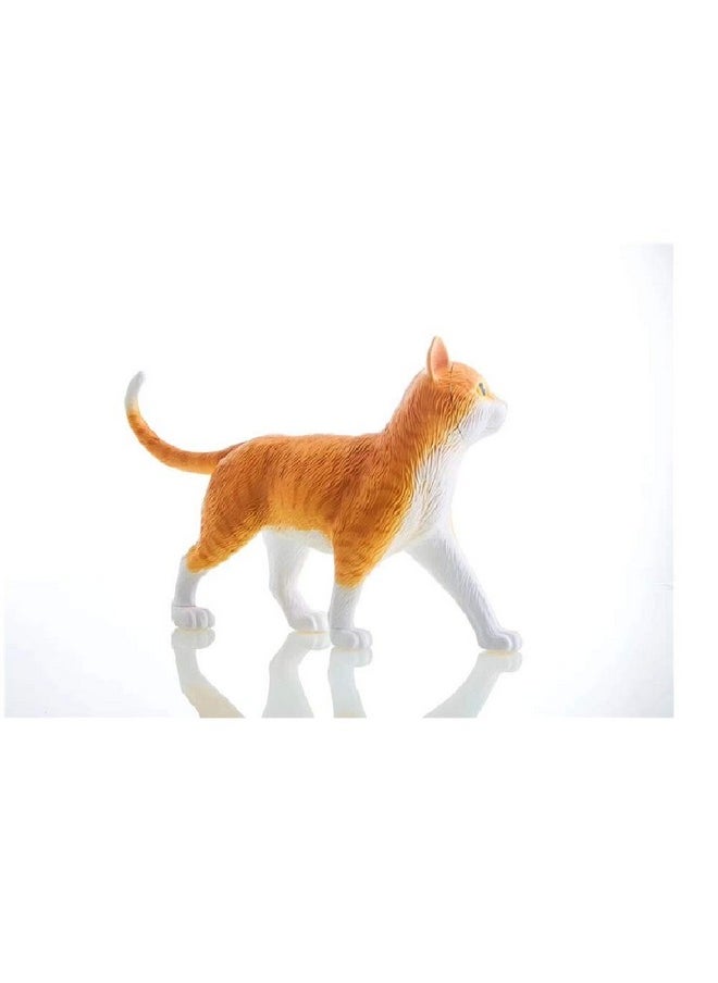 4D Master - 4D Vision Orange Tabby Cat Skeleton & Anatomy Model Kit - Image 1