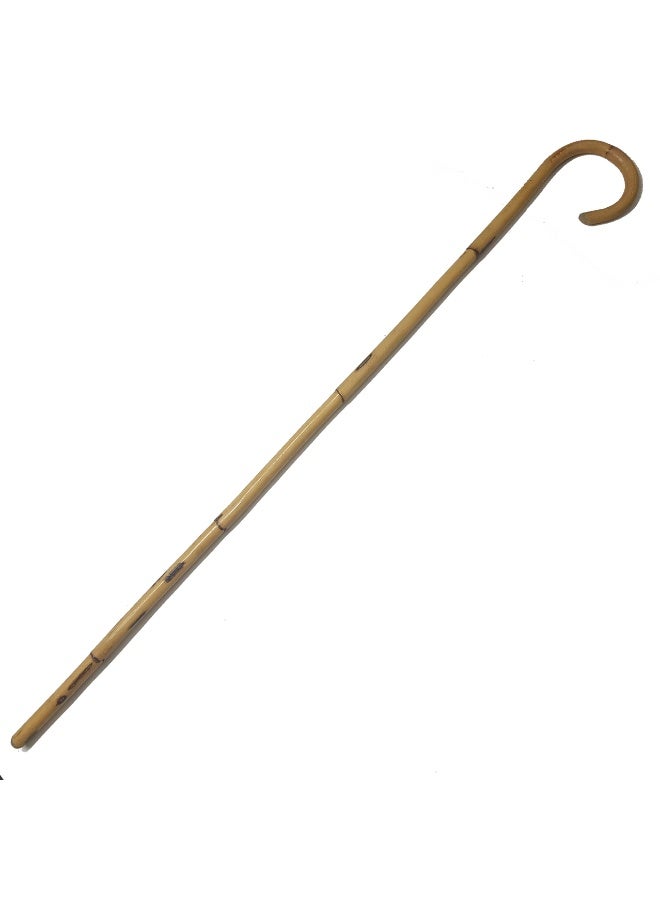 A walking stick made of Aswan beech wood, for men, an Aswan cane - Image 1