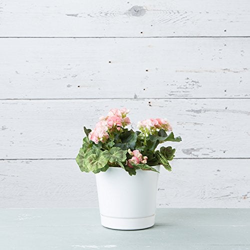 Novelty Majestic Full Depth Round Cylinder Pot, Glossy White, 8-Inch (10082) - Image 4