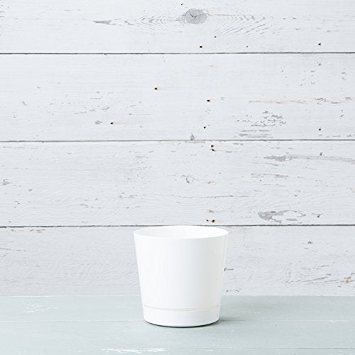 Novelty Majestic Full Depth Round Cylinder Pot, Glossy White, 8-Inch (10082) - Image 3