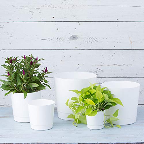 Novelty Majestic Full Depth Round Cylinder Pot, Glossy White, 8-Inch (10082) - Image 5