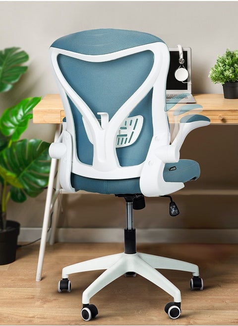 DROGO premium Ergonomic Office Chair for Work from Home, High Back Computer Chair with Mesh, Flip-up Armrest, Recline, Adjustable Seat & Lumbar Support Mesh Chair for Office