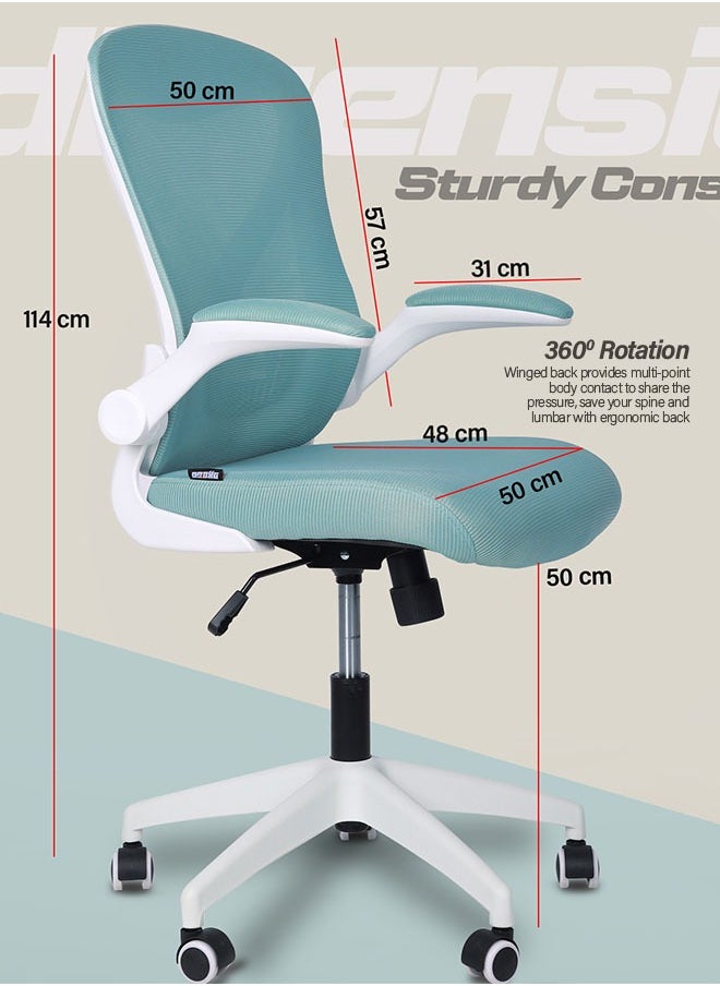DROGO - DROGO premium Ergonomic Office Chair for Work from Home, High Back Computer Chair with Mesh, Flip-up Armrest, Recline, Adjustable Seat & Lumbar Support Mesh Chair for Office - Image 1