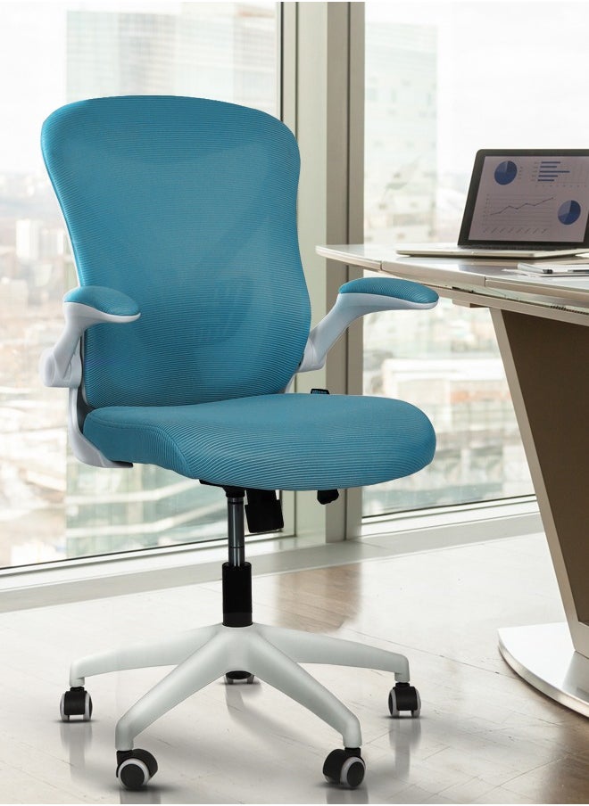 DROGO - DROGO premium Ergonomic Office Chair for Work from Home, High Back Computer Chair with Mesh, Flip-up Armrest, Recline, Adjustable Seat & Lumbar Support Mesh Chair for Office - Image 1