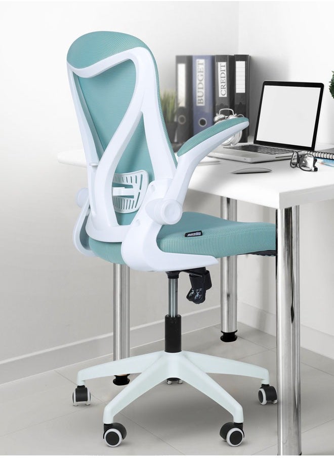 DROGO - DROGO premium Ergonomic Office Chair for Work from Home, High Back Computer Chair with Mesh, Flip-up Armrest, Recline, Adjustable Seat & Lumbar Support Mesh Chair for Office - Image 1