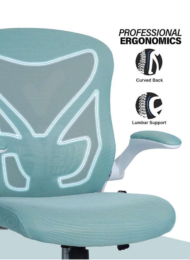 DROGO - DROGO premium Ergonomic Office Chair for Work from Home, High Back Computer Chair with Mesh, Flip-up Armrest, Recline, Adjustable Seat & Lumbar Support Mesh Chair for Office - Image 1