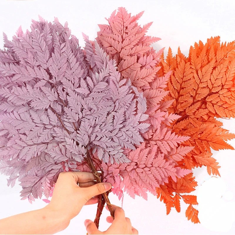 Bluejw Colorful Preserved Real Ming Fern Dried Flower Bouquet with Arachniodes Leaves – Natural Dried Plants for Wedding Decor, Long-Lasting Botanical Arrangement - Image 3
