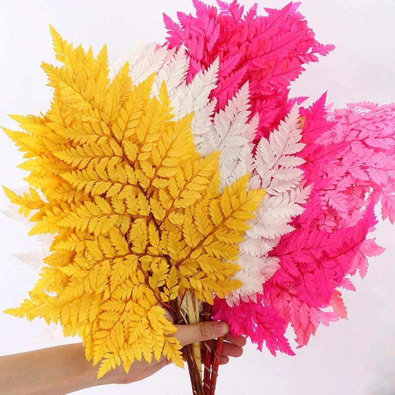 Bluejw Colorful Preserved Real Ming Fern Dried Flower Bouquet with Arachniodes Leaves – Natural Dried Plants for Wedding Decor, Long-Lasting Botanical Arrangement - Image 2