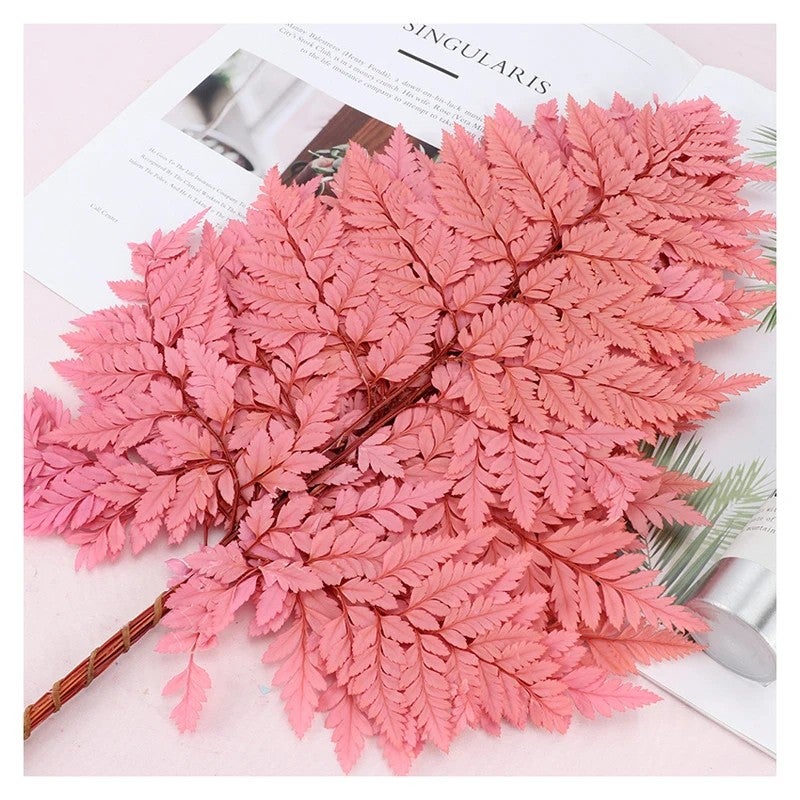 Bluejw Colorful Preserved Real Ming Fern Dried Flower Bouquet with Arachniodes Leaves – Natural Dried Plants for Wedding Decor, Long-Lasting Botanical Arrangement - Image 4