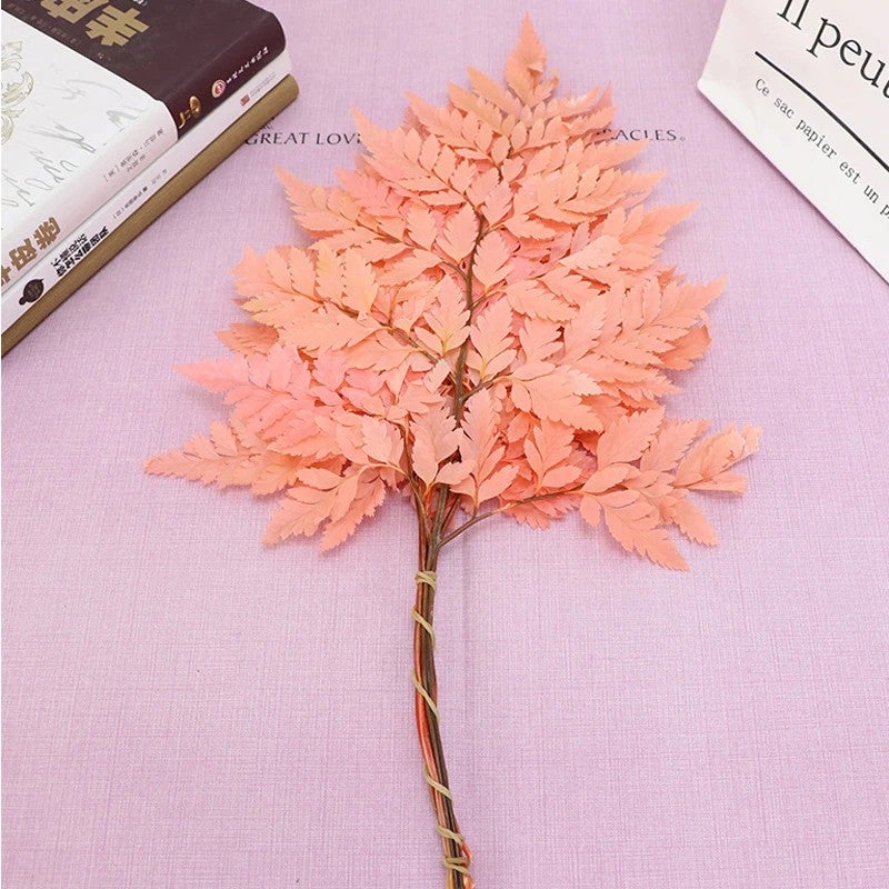 Bluejw Colorful Preserved Real Ming Fern Dried Flower Bouquet with Arachniodes Leaves – Natural Dried Plants for Wedding Decor, Long-Lasting Botanical Arrangement - Image 5