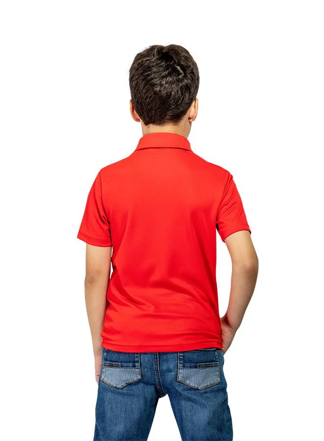 Zaecy  Boys Polo T-shirt for Men | Best Price UAE