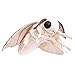 ZHONGXIN MADE Silk Moth Plush Toy Lifelike Silk Moth Stuffed Animals 11in Realistic Soft Big Wings Moth Toys Simulation Butterfly Plushie Model Toy Unique Plush Collection for Kids - Image 2